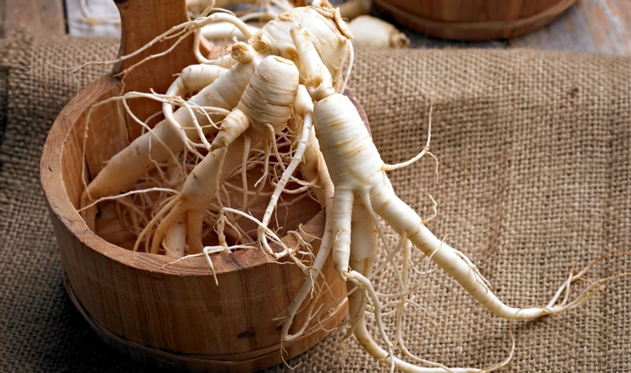 (Ginseng) نبذة تاريخية عن الجنسنج